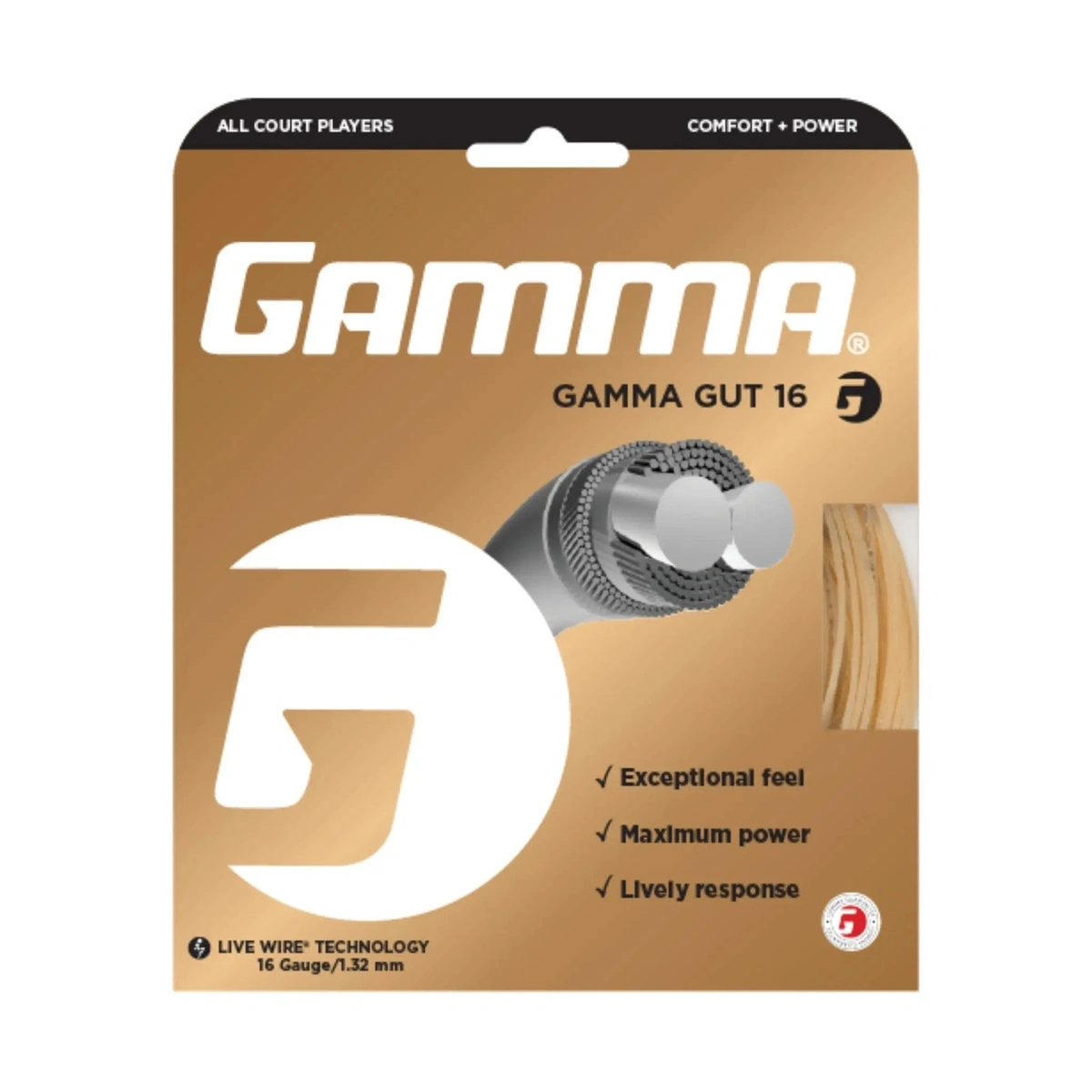 Gamma Gut